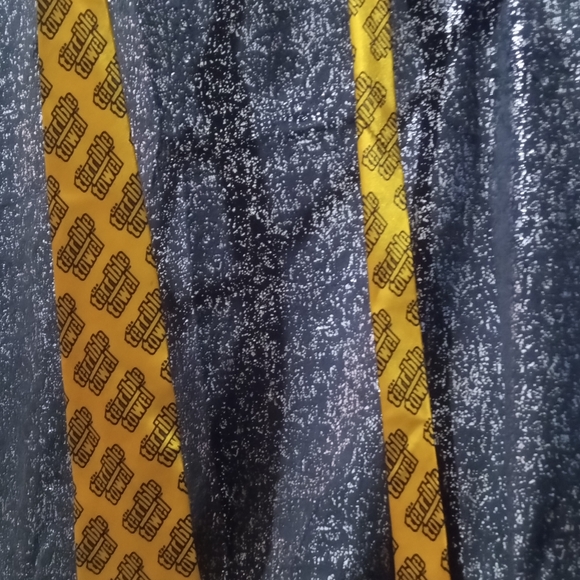 Steelers terrible tie - Picture 3 of 3